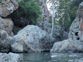 Enlarge photo 354