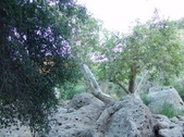 Enlarge photo 356