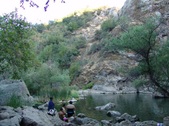 Enlarge photo 357