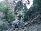 Enlarge photo 358