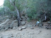 Enlarge photo 359