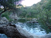 Enlarge photo 361