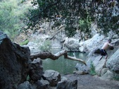 Enlarge photo 363