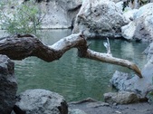 Enlarge photo 364