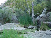 Enlarge photo 367