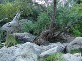 Enlarge photo 368