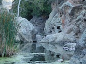 Enlarge photo 369