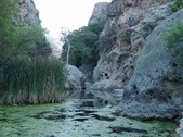 Enlarge photo 370