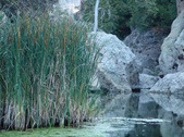 Enlarge photo 371