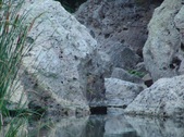 Enlarge photo 372