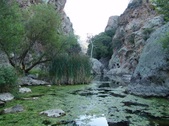 Enlarge photo 374