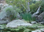Enlarge photo 375