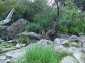 Enlarge photo 376