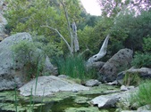 Enlarge photo 377