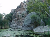 Enlarge photo 378