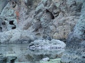 Enlarge photo 379