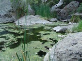 Enlarge photo 380