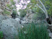 Enlarge photo 381