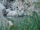 Enlarge photo 382
