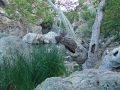 Enlarge photo 383