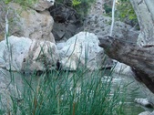 Enlarge photo 384
