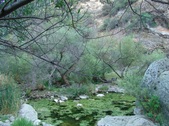 Enlarge photo 385