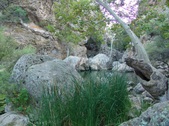 Enlarge photo 386