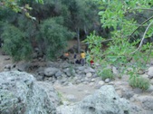 Enlarge photo 388