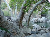 Enlarge photo 389