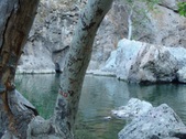 Enlarge photo 390