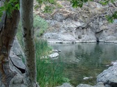 Enlarge photo 391