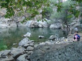 Enlarge photo 392
