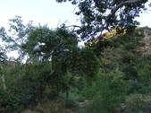 Enlarge photo 393