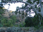 Enlarge photo 394
