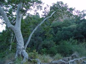 Enlarge photo 395
