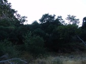 Enlarge photo 396