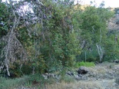 Enlarge photo 397