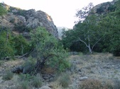 Enlarge photo 398