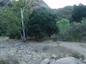 Enlarge photo 399