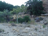 Enlarge photo 400