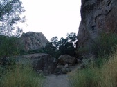 Enlarge photo 401