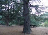Enlarge photo 406