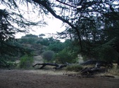 Enlarge photo 407