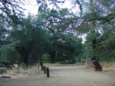 Enlarge photo 408