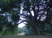 Enlarge photo 409