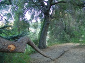 Enlarge photo 411