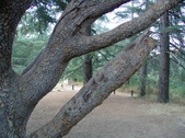 Enlarge photo 412