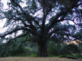 Enlarge photo 413