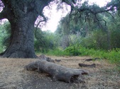 Enlarge photo 414