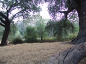 Enlarge photo 416